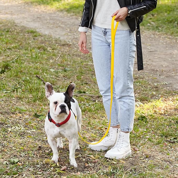 Dogline Biothane Waterproof Dog Leash Strong Coated Nylon Webbing with Black Hardware Odor-Proof Easy to Clean High Performance for Small or Large Dogs Made in USA 4 or 6 ft Lead, Lemon Yellow