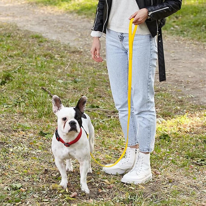 Dogline Biothane Waterproof Dog Leash Strong Coated Nylon Webbing with Black Hardware Odor-Proof Easy to Clean High Performance for Small or Large Dogs Made in USA 4 or 6 ft Lead, Lemon Yellow