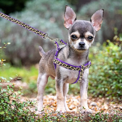 Mile High Life Leopard Dog Harness Collar Leash Set, Adjustable No Pull Dog Halter Harness for Small Breed Dogs, Easy Control for Training Walking (Black, XS Chest 9"-15", Neck 8"-12")