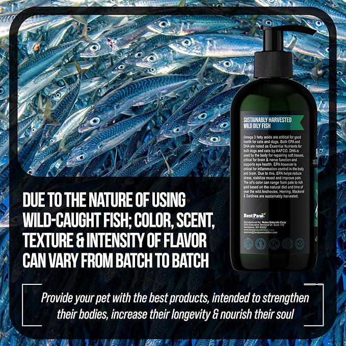 Best Paw Nutrition - Pure Omega Fish Oil for Dogs, Cats & Ferrets - Liquid Supplement for Joint Pain Relief - Soft Skin & Shiny Coat - Omega 3 Fish Oil Pets Love - 16oz