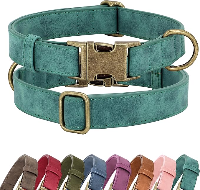 Didog Soft PU Leather Dog Collar, Stylish Quick Released Dog Collars for Medium Dogs, Easy Clean Adjustable Pet Collar for Daily Walking, Green, M Fit 13-21" Neck