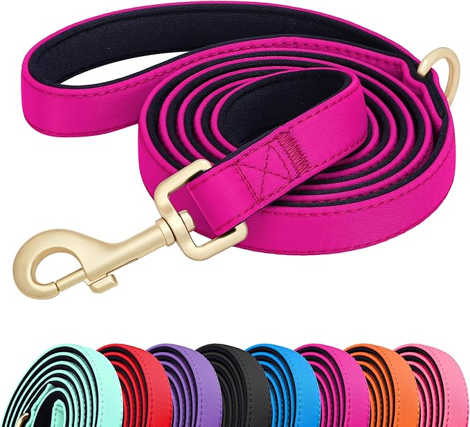 Didog 5FT Colorful Nylon Dog Leash with Soft Full-Length Padding, Lightweight and Durable Pet Leash for Small Dogs, Rose Purple, S