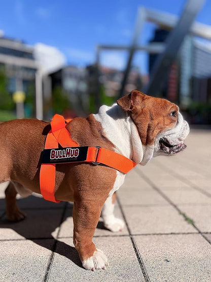 BULLHUG Adjustable Dog Harness– No Pull, No Choke – for English Bulldogs, French Bulldogs, Pugs & Broad-Chested Breeds – Easy, Safe Walks (NEON Orange, Small)