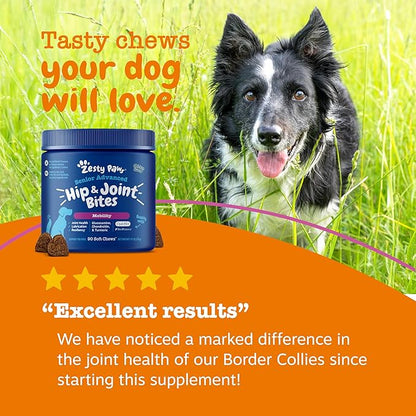 Zesty Paws Mobility Bites Joint Supplement for Dogs - Soft Chews with Glucosamine for Dogs, Chondroitin, & MSM + Vitamins C and E - Adv Chicken - 90 Count