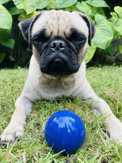 SuperChewer Tough Dog Ball Toy | Lifetime Replacement | Strong Natural Rubber | Great Dog Fetch Toy | Chew Toys for Dogs | Ultra Durable Chew Toys for Aggressive Chewers | Large Breed Tested