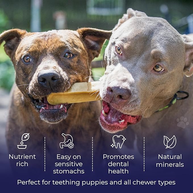 Devil Dog Pet Co. Himalayan Yak Cheese Dog Chews, Large - 3 Pack, 100% Natural & Healthy, Lactose-Free, Long-Lasting Dog Treats, Premium Yak Milk Chew Bones for Dogs