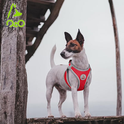 DOCO Dog Harness for Small Sized Dog - Athletica Adjustable, No Pull, No Choke, Puppy Vest Lightweight Air Mesh, Reflective, Puppy Essentials – Gray, Small (Chest 14.5"-15.5", Weight 6–10 lbs)