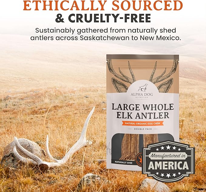 Alpha Dog Nutrition Elk Antler Chews (Large, Whole)
