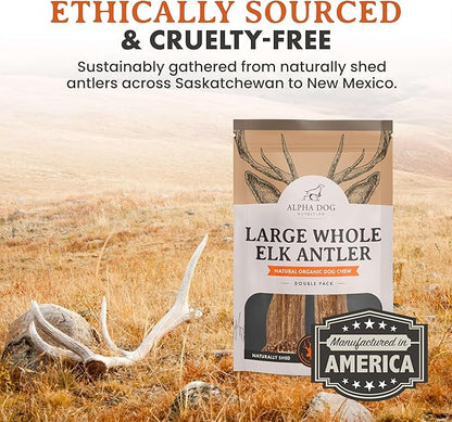 Alpha Dog Nutrition Elk Antler Chews (Large, Whole)