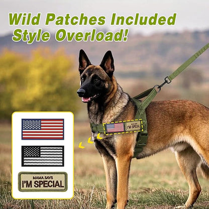 Forestpaw No Pull Dog Harness with Large Handle,Slip on Reflective Vest with Quick Release Buckle,Comfortable Flannel Lining for Medium Large Dogs Walking Training (Includes 3 Patches),Green XL