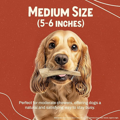 Heartland Elk Antlers for Dogs - Daily Dental Care Chews for Aggressive Chewers to Reduce Plaque & Prevent Destructive Behavior (Whole, Splinter Free, 5-6", Medium, 2-Pack, Grade A, USA Made)