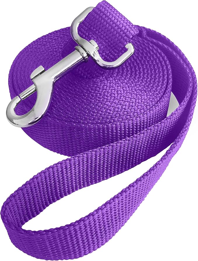 10ft Purple Dog Leashes - Obedience Recall Training Agility - Strong Traditional Style Extra Long Leads for Large, Medium & Small Dogs - Great for Parks,Fetch,Backyard & Camping(10FT, Purple)