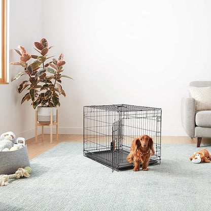 Amazon Basics - Durable, Foldable Metal Wire Dog Crate with Tray, Single Door, 30 x 19 x 21 in, Black