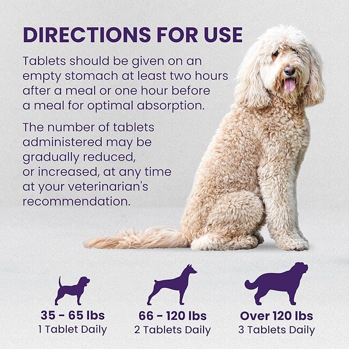 Nutramax Laboratories Denamarin Liver Health Supplement for Large Dogs - With S-Adenosylmethionine (SAMe) and Silybin, 30 Tablets(Pack of 1)