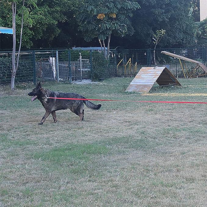 Dog/Puppy Obedience Recall Training Agility Lead - 15ft 20ft 30ft 40ft 50ft Training Leash - Great for Play, Camping, or Backyard - Red 20ft (20Feet, Red)