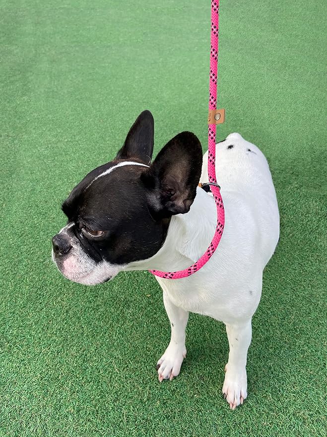 5 FT Slip Lead Dog Leash, Heavy Duty Rope Leash for Small Medium Large Dogs, No Pull Training Lead with Reflective Thread, Strong Comfortable Loop Leash (Pink Stripe, Medium(3/8"))