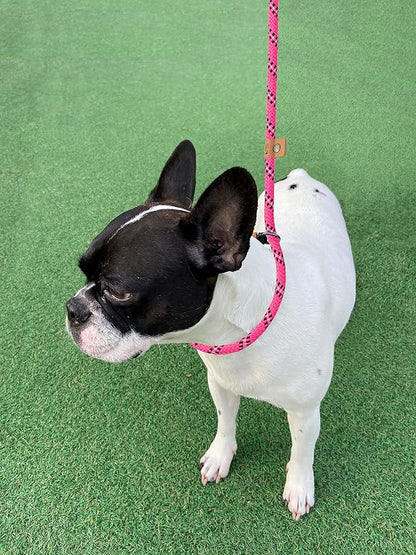 5 FT Slip Lead Dog Leash, Heavy Duty Rope Leash for Small Medium Large Dogs, No Pull Training Lead with Reflective Thread, Strong Comfortable Loop Leash (Pink Stripe, Medium(3/8"))