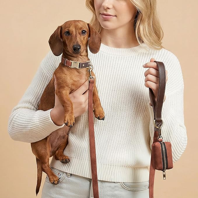 Didog Soft PU Leather Dog Collars for Small Dogs,Classic Adjustable Dog Collars with Quick Release Metal Buckle,Easy Clean and Comfortable with Nylon Lining,Reddish Brown,S Neck 11-15"