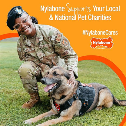 Nylabone Original Bone Power Chew Toy Value Pack for Dogs, Durable Dog Toys for Aggressive Chewers, Long Lasting Chicken, Bacon, and Peanut Butter Flavor, Small Dogs - Up to 25 Ibs, 3 Pack