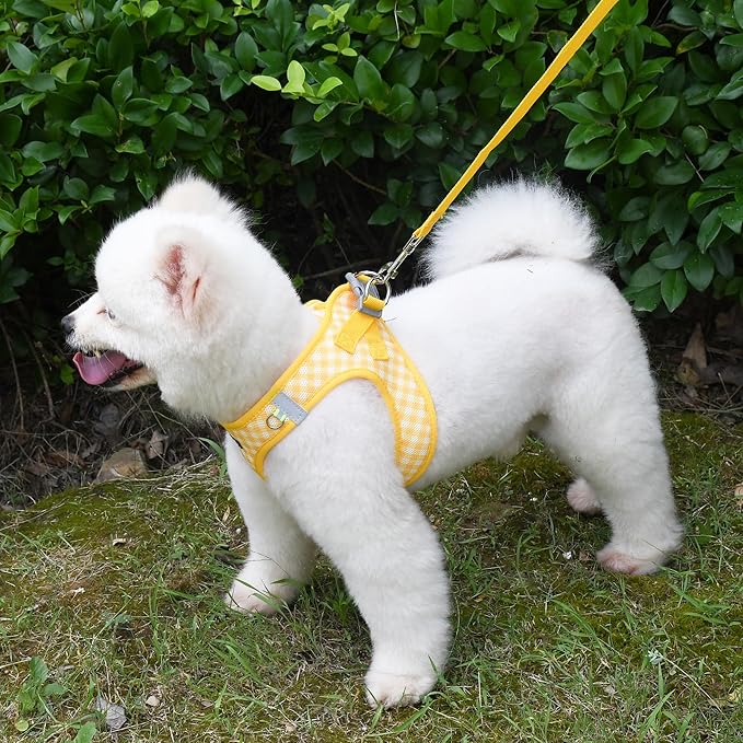 AIITLE Easy Walk Dog Vest Harness and Leash Set, Pet Supply No Pull, Breathable Mesh, Reflective Stripes, Adjustable Escape Proof Pet Outdoor Harnesses for Medium Dogs Yellow L