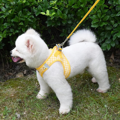 AIITLE Easy Walk Dog Vest Harness and Leash Set, Pet Supply No Pull, Breathable Mesh, Reflective Stripes, Adjustable Escape Proof Pet Outdoor Harnesses for Medium Dogs Yellow L