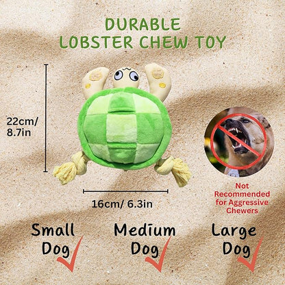 Pawfoo Lab Interactive Dog Toys, Durable Chew Squeaky Tug of War Toys for Large Medium Small Dogs, Snuffle Puppy Toy for Teeth Cleaning, 2 in 1 Puzzle Toy, Birthday Gift -Turtle