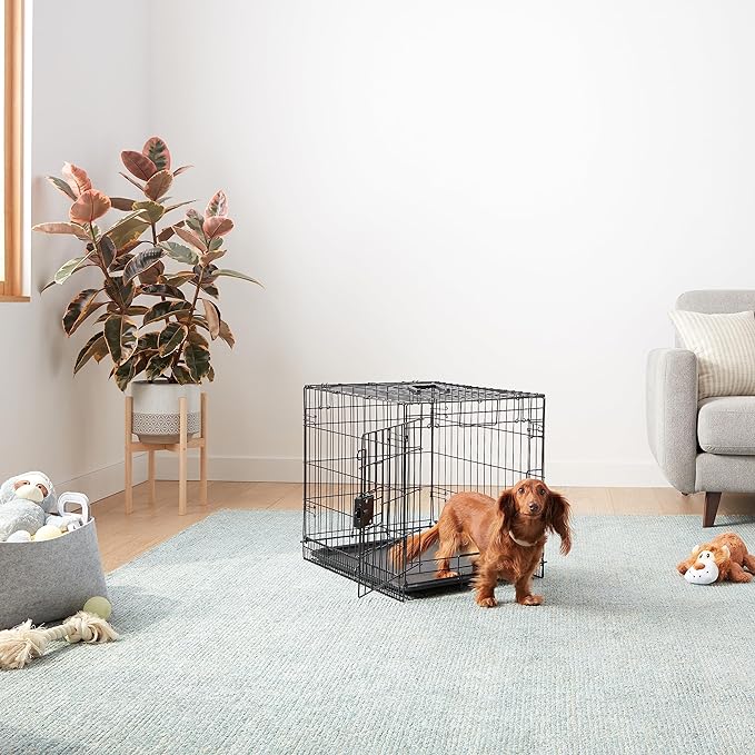 Amazon Basics Durable, Foldable Metal Wire Small Dog Crate with Tray, Single Door, 24 x 18 x 20 in, Black