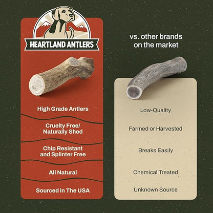 Heartland Elk Antlers for Dogs - Daily Dental Care Chews for Aggressive Chewers to Reduce Plaque & Prevent Destructive Behavior (Whole, Splinter Free, 5-6", Medium, 1-Pack, Grade A, USA Made)