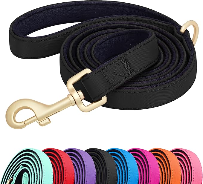 Didog 5FT Colorful Nylon Dog Leash with Soft Full-Length Padding, Lightweight and Durable Pet Leash for Medium and Large Dogs, Black, M