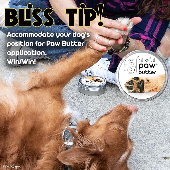 The Blissful Dog Paw Butter, Moisturizer for Dry Paw Pads, Softens and Protects a Rough Paw in Winter, Versatile, Lick-Safe Dog Paw Pad Balm 0.15 oz.