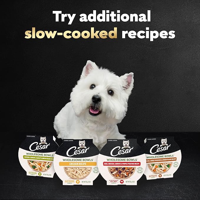 Cesar Wholesome Bowls Adult Wet Dog Food, Beef, Chicken, Carrots, Barley & Green Beans Recipe and Chicken, Apple & Sweet Potato Recipe Variety Pack, Wet Food for Dogs, 3 oz., 6 Count