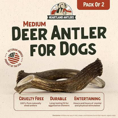 Heartland Deer Antlers for Dogs - Daily Dental Care Chews for Aggressive Chewers to Reduce Plaque & Prevent Destructive Behavior (Splinter Free, 5-6", Medium, 2-Pack, Grade A, USA Made)