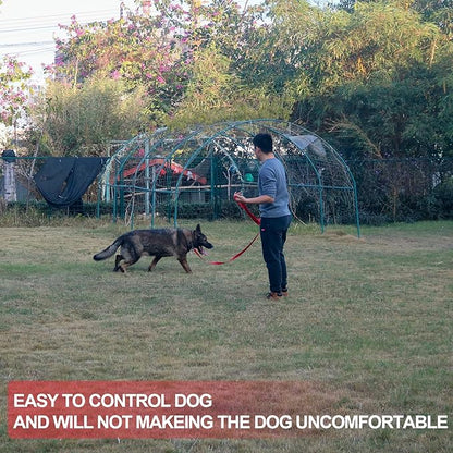 Dog/Puppy Obedience Recall Training Agility Lead - 15ft 20ft 30ft 40ft 50ft Training Leash - Great for Play, Camping, or Backyard - Orange 15ft (15Feet, Orange)
