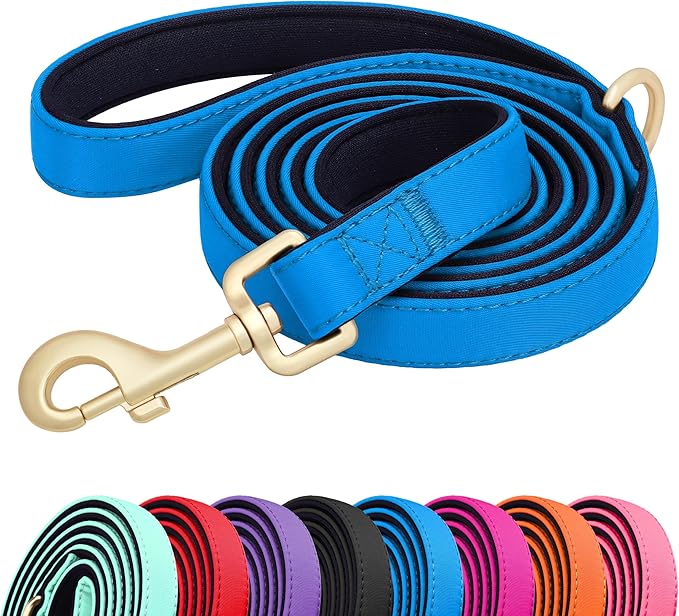 Didog 5FT Colorful Nylon Dog Leash with Soft Full-Length Padding, Lightweight and Durable Pet Leash for Medium and Large Dogs, Blue, M