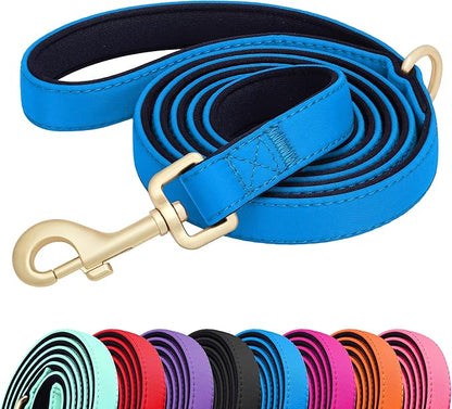 Didog 5FT Colorful Nylon Dog Leash with Soft Full-Length Padding, Lightweight and Durable Pet Leash for Medium and Large Dogs, Blue, M