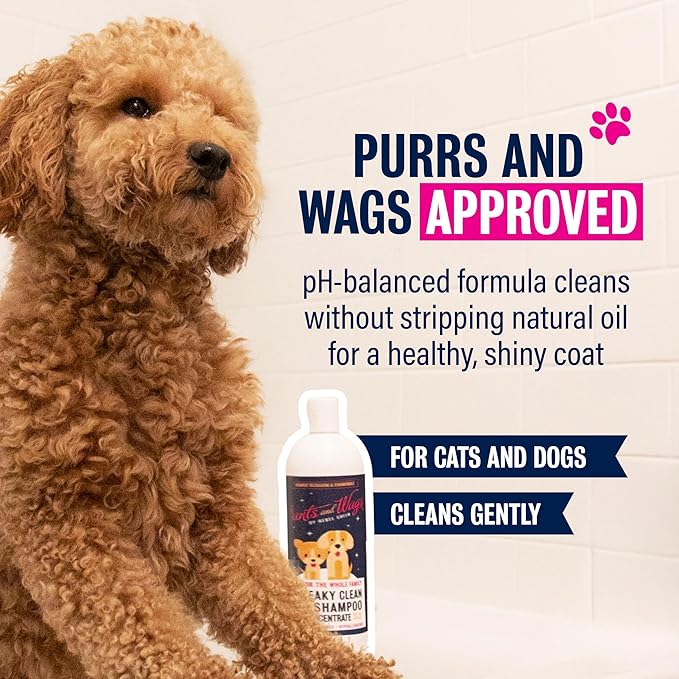 Pants and Wags by Rebel Green Squeaky Clean Pet Shampoo Concentrate - Orange Blossom & Chamomile - Hypoallergenic - No Dyes or Perfumes - 16 oz - 2 Pack