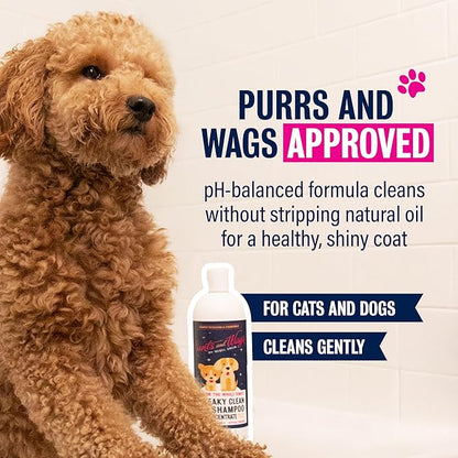 Pants and Wags by Rebel Green Squeaky Clean Pet Shampoo Concentrate - Orange Blossom & Chamomile - Hypoallergenic - No Dyes or Perfumes - 16 oz - 2 Pack