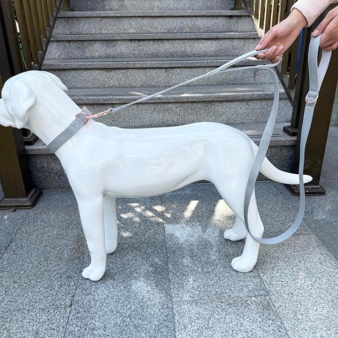 Dog Leash 6ft Long,Traffic Padded Two Handle,Heavy Duty,Double Handles Lead for Control Safety Training,Leashes for Large Dogs or Medium Dogs,Dual Handles Leads (Grey, 25MM*6FT)