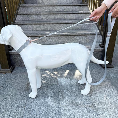 Dog Leash 6ft Long,Traffic Padded Two Handle,Heavy Duty,Double Handles Lead for Control Safety Training,Leashes for Large Dogs or Medium Dogs,Dual Handles Leads (Grey, 25MM*6FT)