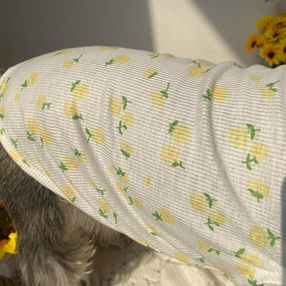 2PCS Summer Dog Cotton T Shirt Pet Tee Shirts Puppy Daisy Flower Prints Clothes Apparel for Small Dogs Cats