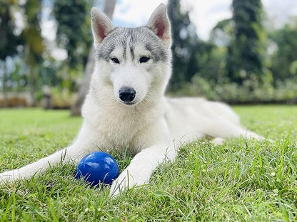 SuperChewer Tough Dog Ball Toy | Lifetime Replacement | Strong Natural Rubber | Great Dog Fetch Toy | Chew Toys for Dogs | Ultra Durable Chew Toys for Aggressive Chewers | Large Breed Tested