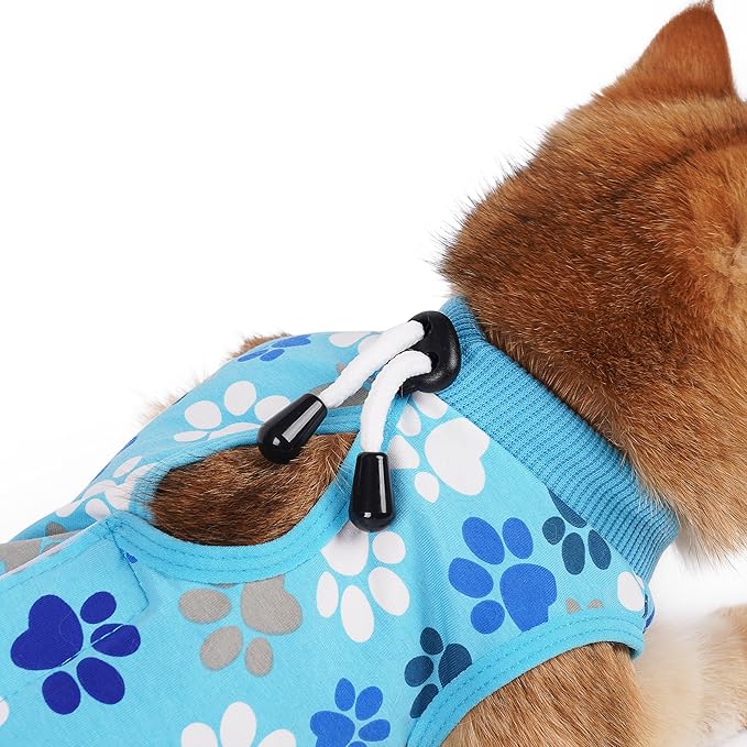 COZYDOODZ Cat Recovery Suit – Soft, Breathable Onesie for Female & Male Pets After Surgery, Spay, Neuter or Wounds, Surgery Outfit, Cone Alternative, Litter Access, Machine Washable, Blue Paw Print