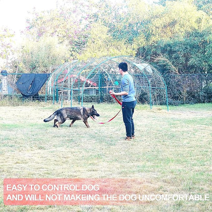 Siumouhoi Dog/Puppy Obedience Recall Training Agility Lead - 15ft 20ft 30ft 40ft 50ft Training Leash - Great for Play, Camping, or Backyard - Orange 20ft (20Feet, Orange)