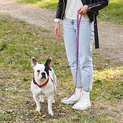 Dogline Biothane Waterproof Dog Leash Strong Coated Nylon Webbing with Black Hardware Odor-Proof Easy to Clean High Performance for Small or Large Dogs Made in USA 4 or 6 ft Lead, Amethyst Purple