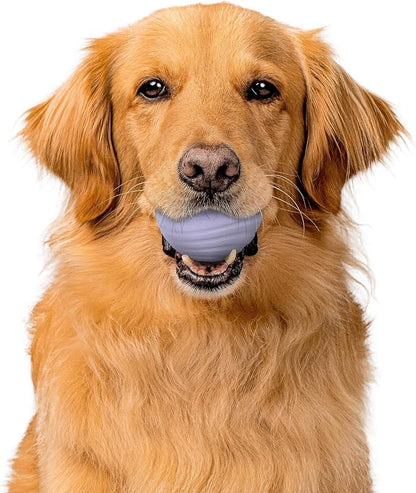 Playology Dog Toys | Dual Layer Ball Durable Chew Toy for Aggressive Chewers | Jumbo Lamb Scented Toy - Easy to Clean and Made from Non Toxic Materials