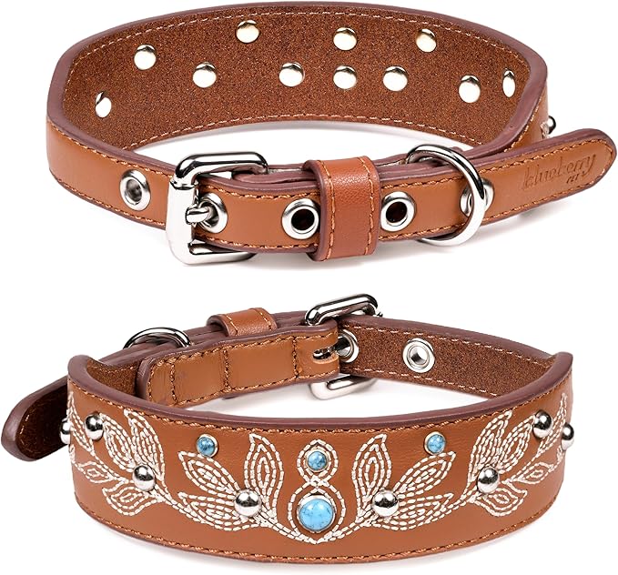 Blueberry Pet Western Dog Collar in Canyon Brown - 12-15 Inch Necks Floral-Embroidered Leather with Turquoise Studs, Dog Collars for Small Dogs, Adjustable Leather Girl Dog Collar