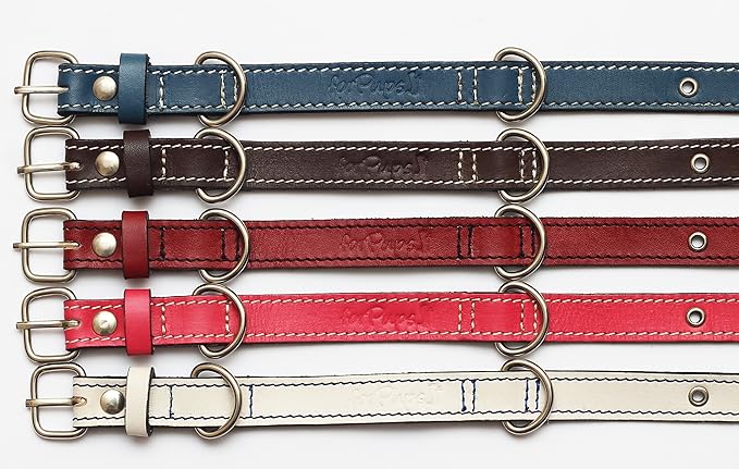 Premium Leather Collars with Stainless Steel Buckles (9"-12", Chocolate)