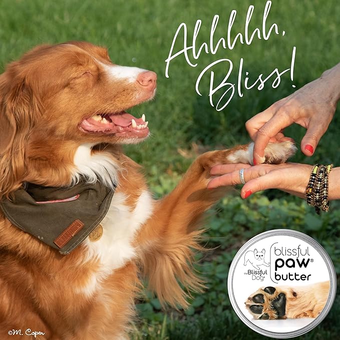 The Blissful Dog Paw Butter, Moisturizer for Dry Paw Pads, Softens and Protects a Rough Paw in Winter, Versatile, Lick-Safe Dog Paw Pad Balm, 2.25 oz.
