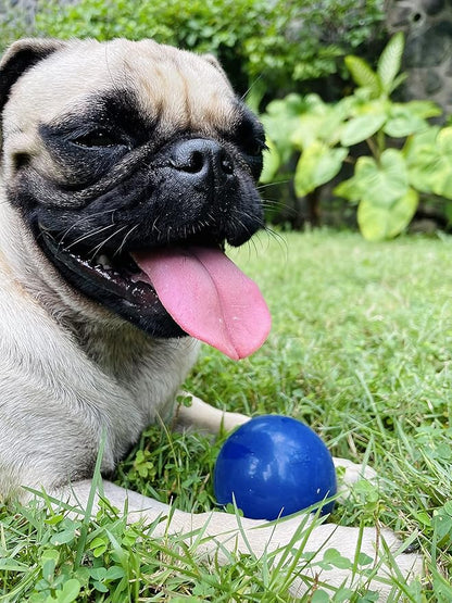 SuperChewer Tough Dog Ball Toy | Lifetime Replacement | Strong Natural Rubber | Great Dog Fetch Toy | Chew Toys for Dogs | Ultra Durable Chew Toys for Aggressive Chewers | Large Breed Tested