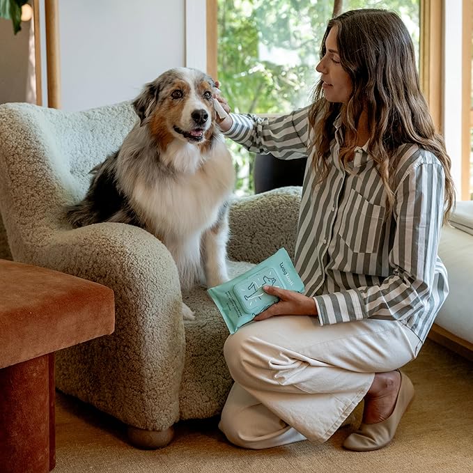 WagWell Daily Cleansing Dog Wipes 50 Count – Vet-Approved, All Natural, Dermatologist Tested, Microbiome-Friendly – Head-to-Tail (Avoid Eye Area), Helps Reduce Odor – No Added Fragrance
